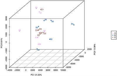 Effect of methionine hydroxy analog feed supplements: Significant alteration and enrichment of rumen microbiota and metabolome in Hu sheep